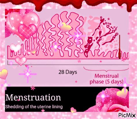 Menstrual Period Sex Porn GIFs 